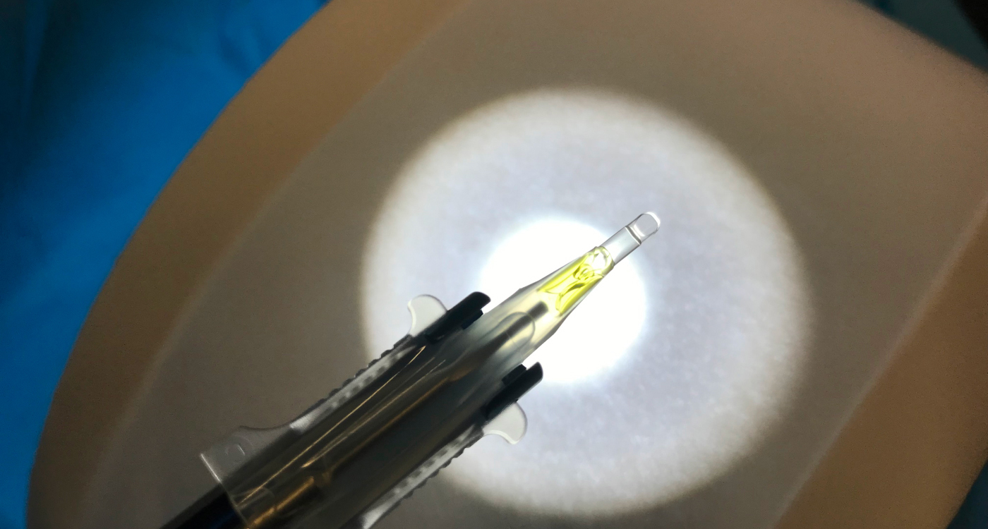 Monarch feature highlight